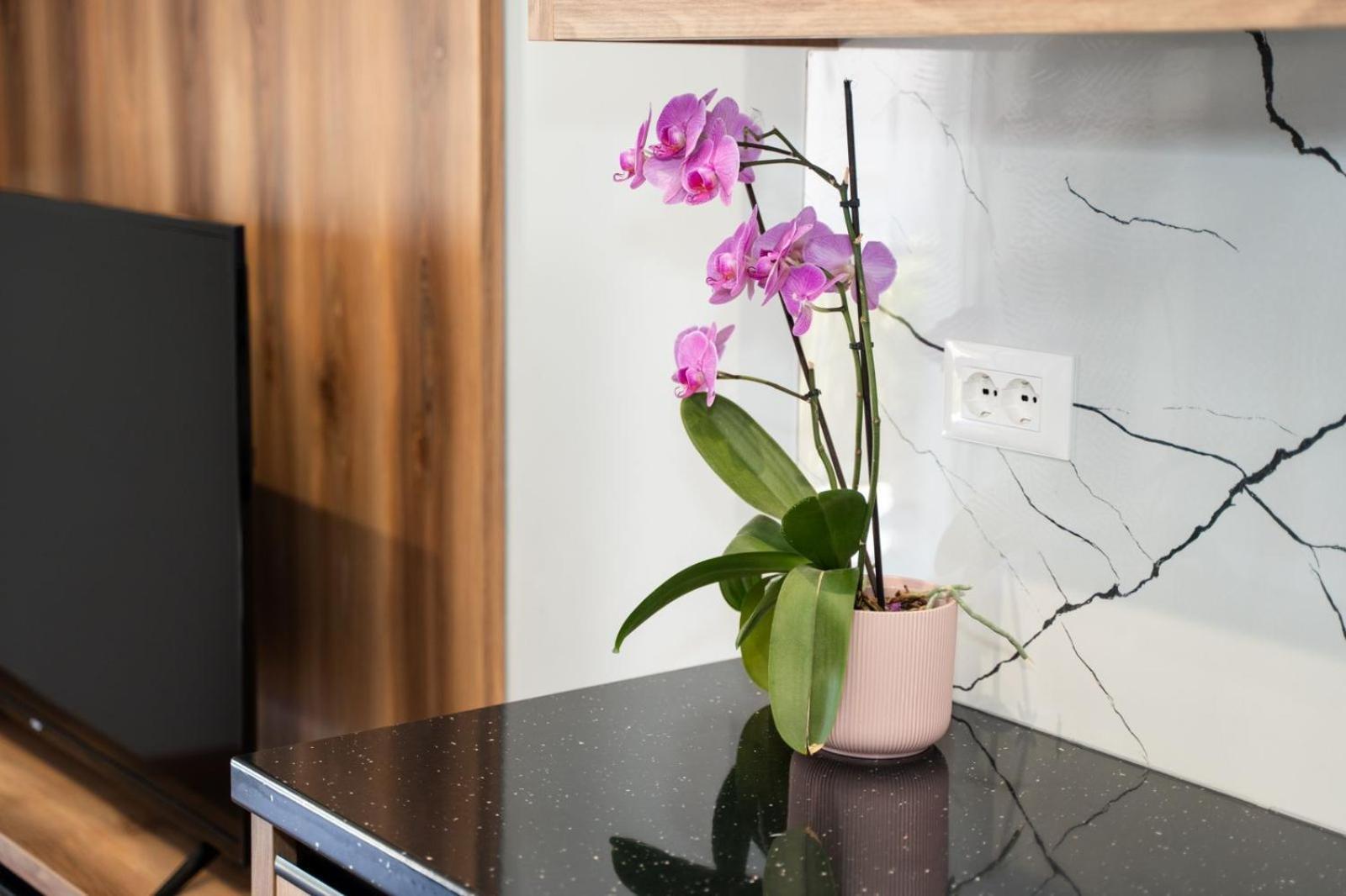 Roel Apartments Sarande Luaran gambar